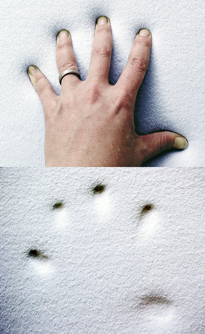 A hand pressing on foam, and the imprint left in the foam