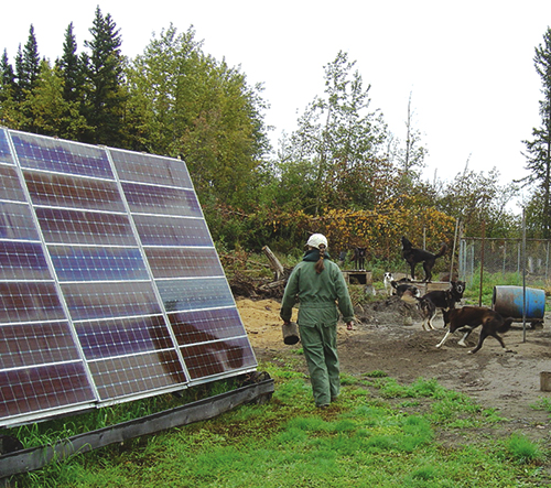 Picture of the solar panels and the mushing dogs at the Alaskan roadhouse
