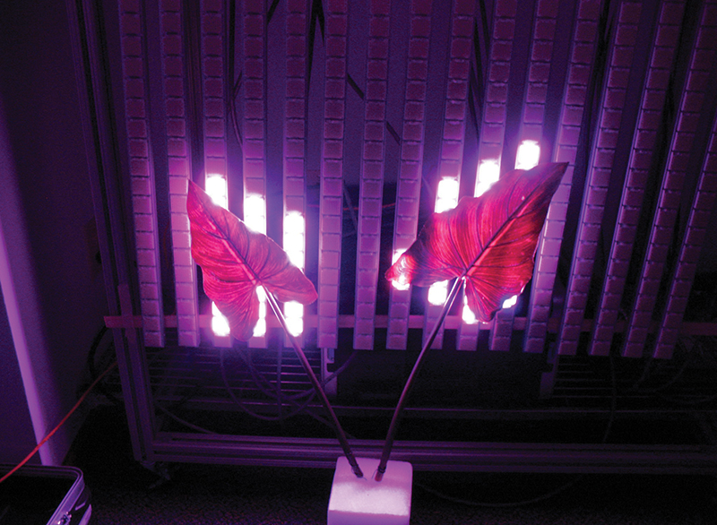 Led grow on sale light system