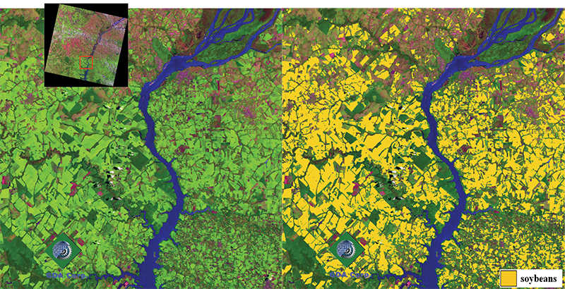 Satellite images highlight the presence of soybean crops