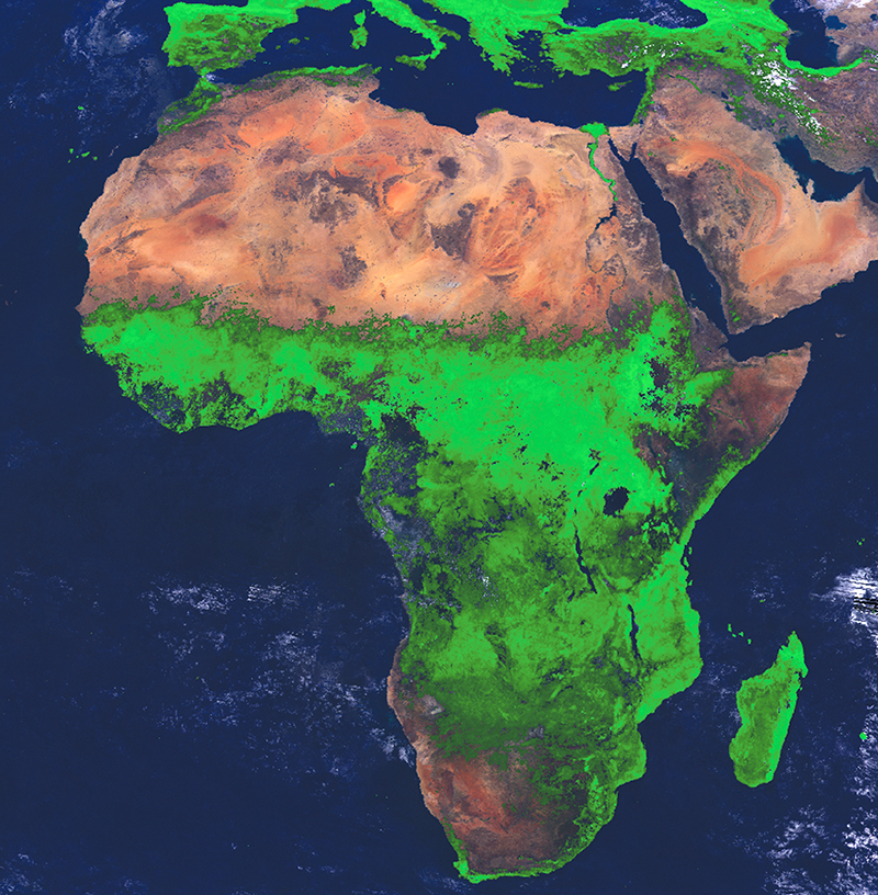 A 1994 satellite image shows African vegetation patterns