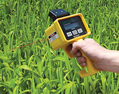 A hand aims the FieldScout device at wheat plants