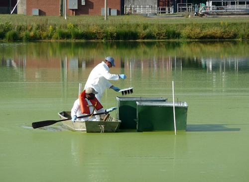 A contaminated pond in Altavista, Virginia