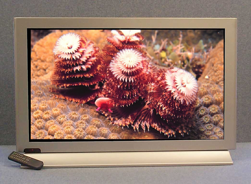 A plasma television with colorful ocean reef on the screen