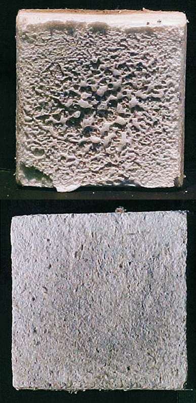 Two silicon-dioxide-based ceramic tiles after testing