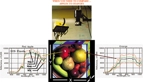 Hyperspectral imaging being used in food inspection application