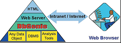diagram of a creation of web database applications