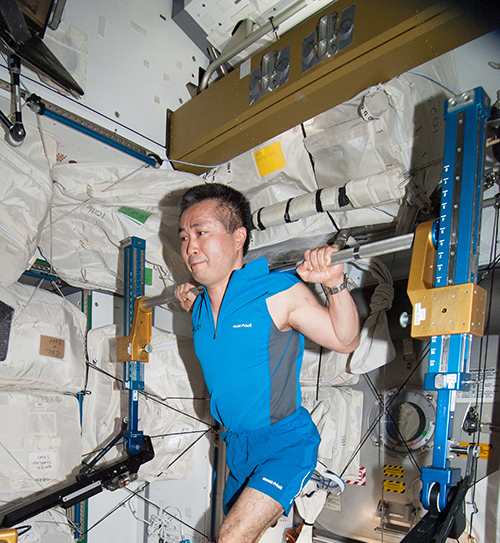 Japanese Aerospace Exploration Agency astronaut Koichi Wakata works out on the International Space Station