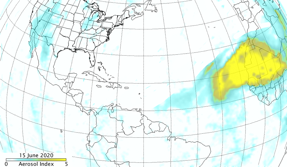 Aerosols in the Saharan dust plume from June 15 to 25