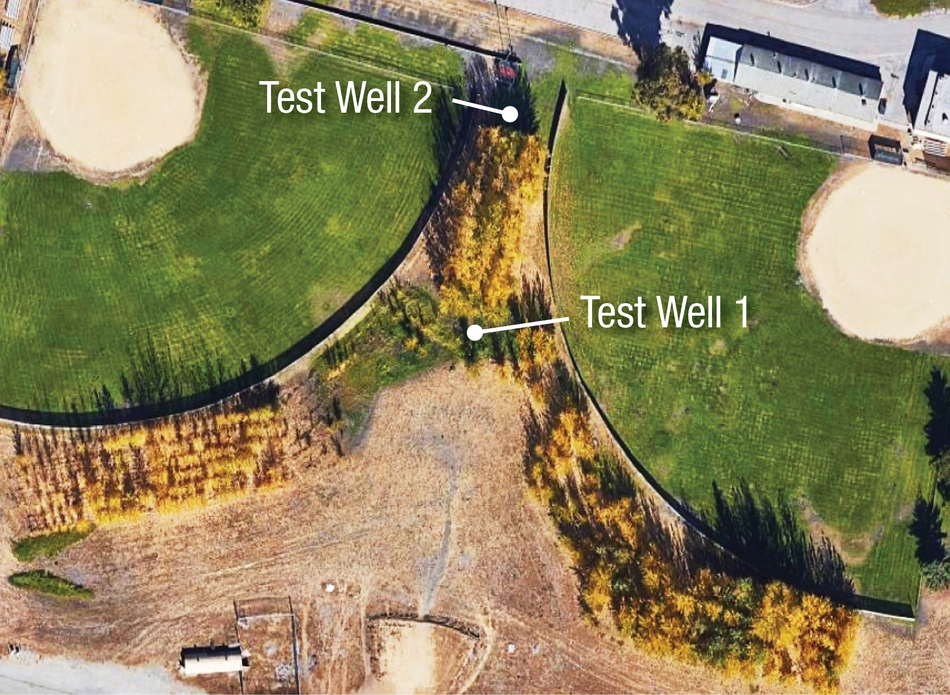 inoculated poplars and uninoculated control trees was planted between two baseball fields at Ames