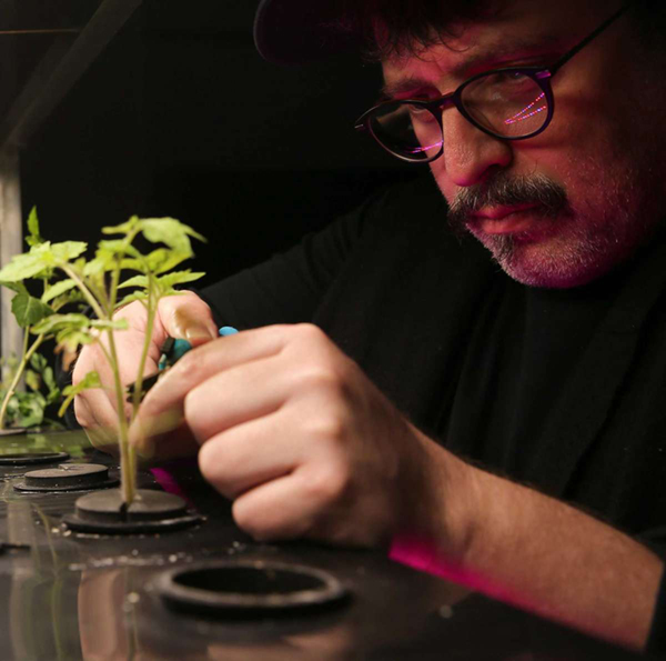 Bart Womack, founder and CEO of Eden Grow Systems, trims a plant in one of the company’s grow towers