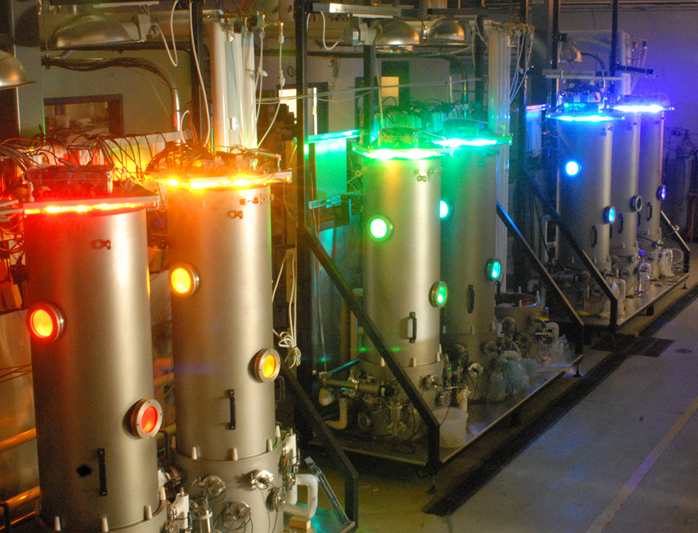 Light emitting diode (LED) experiments conducted by the University of Guelph 