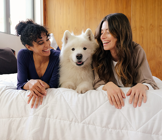 Two Women and a Dog on the UltraCool Comforter