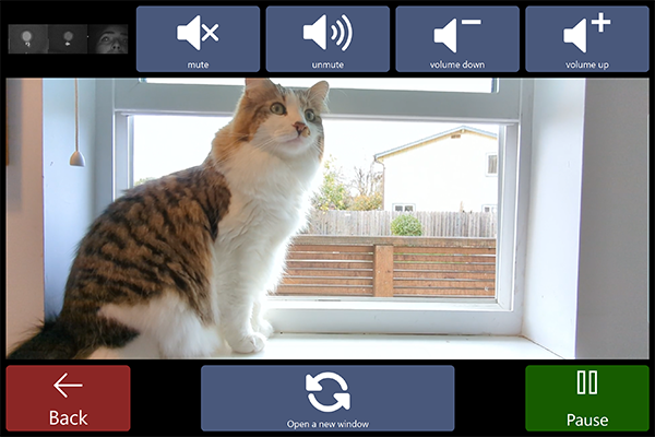 A cat in the window is visible using Windowswap