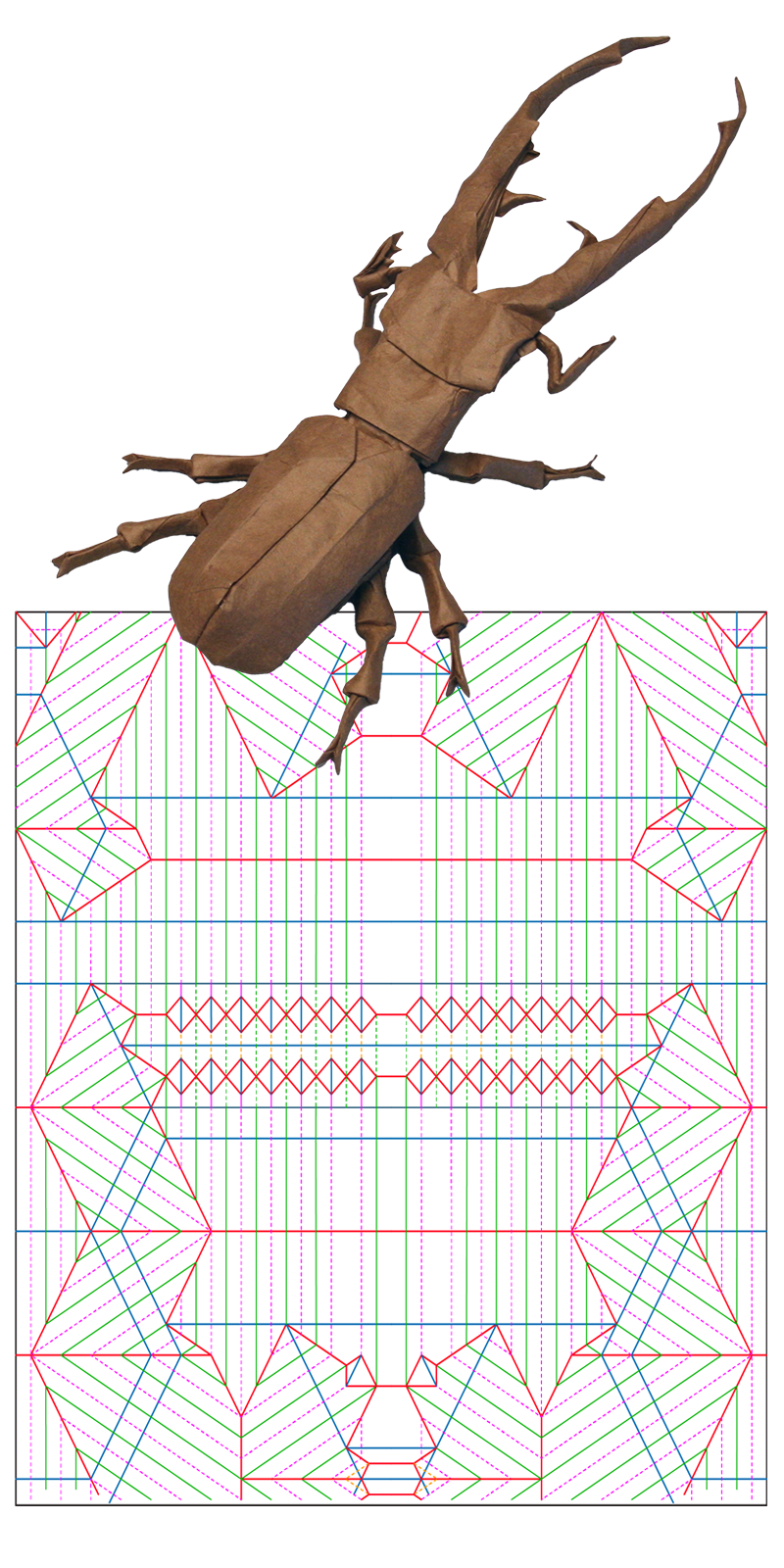 A stag beetle Lang created, along with the mathematically derived folding pattern to build it