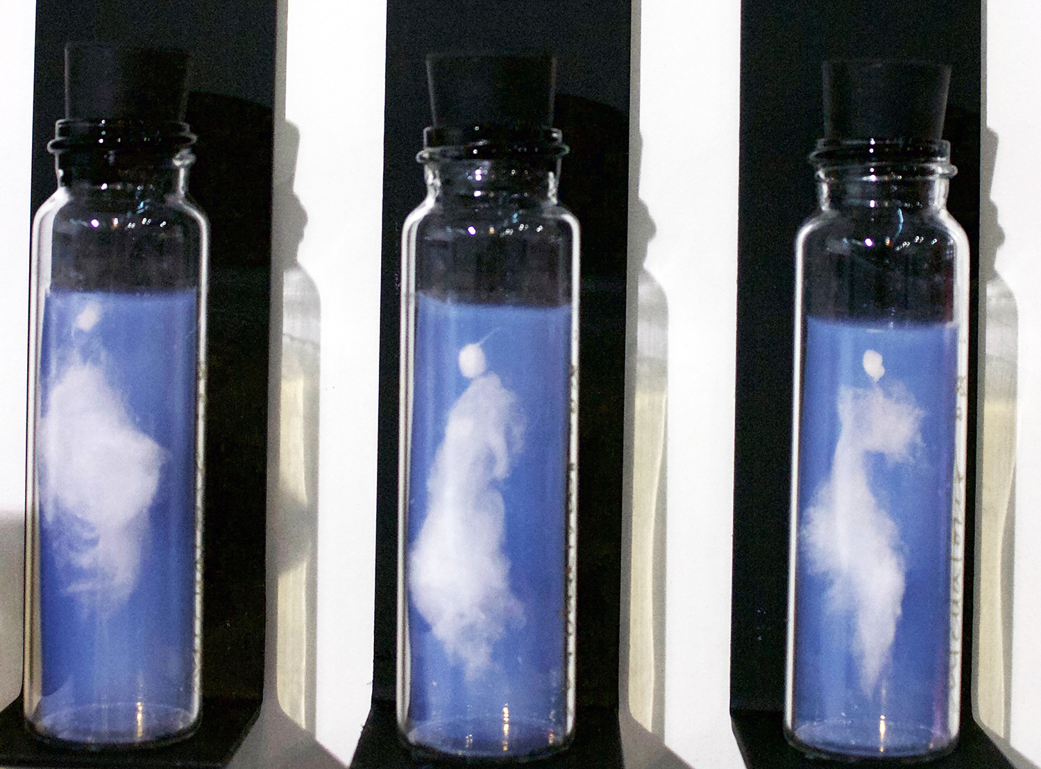 three jars containing different white shapes floating within blue