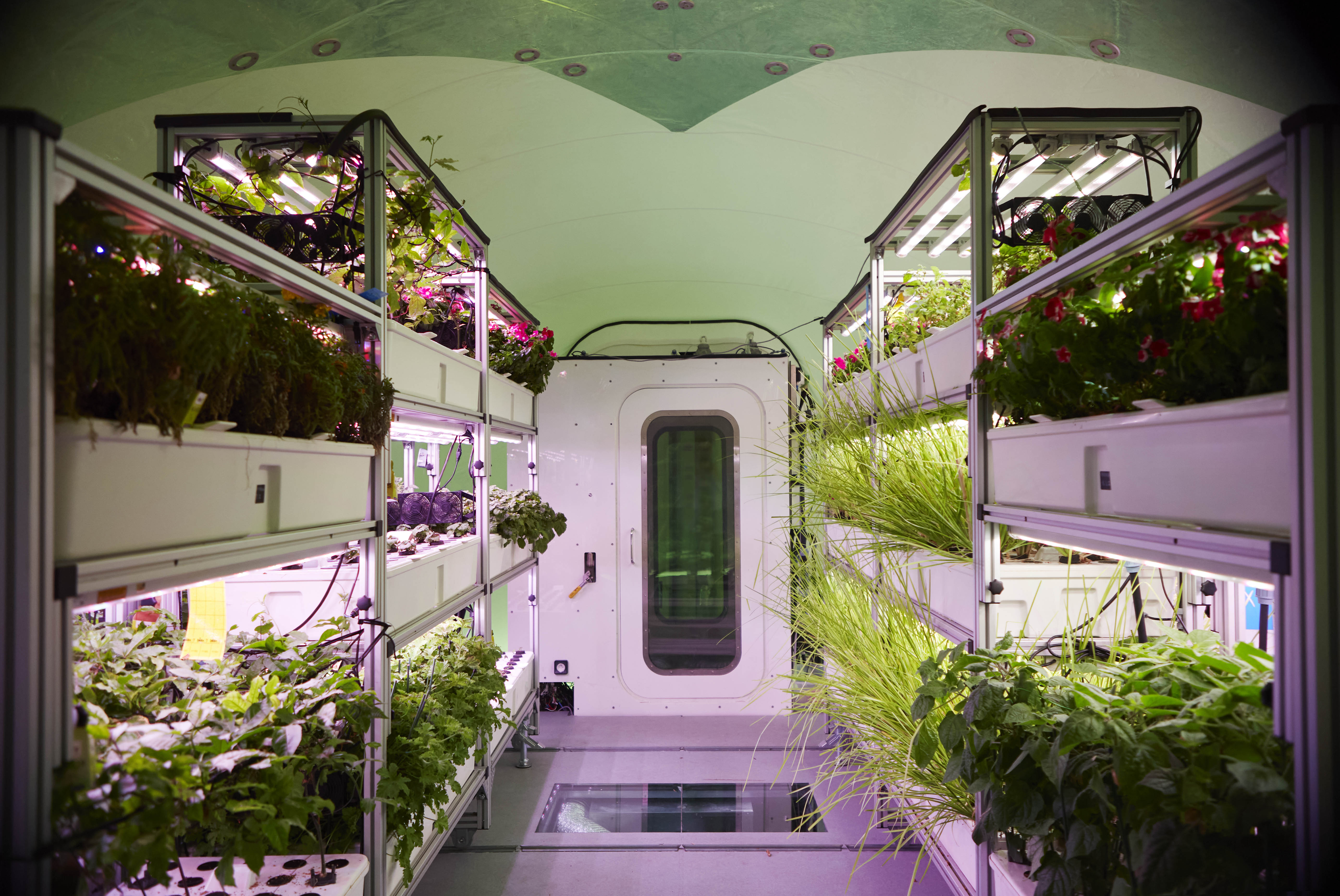 Racks of plants on either side of a walkway, a door with a window can be seen across the room.