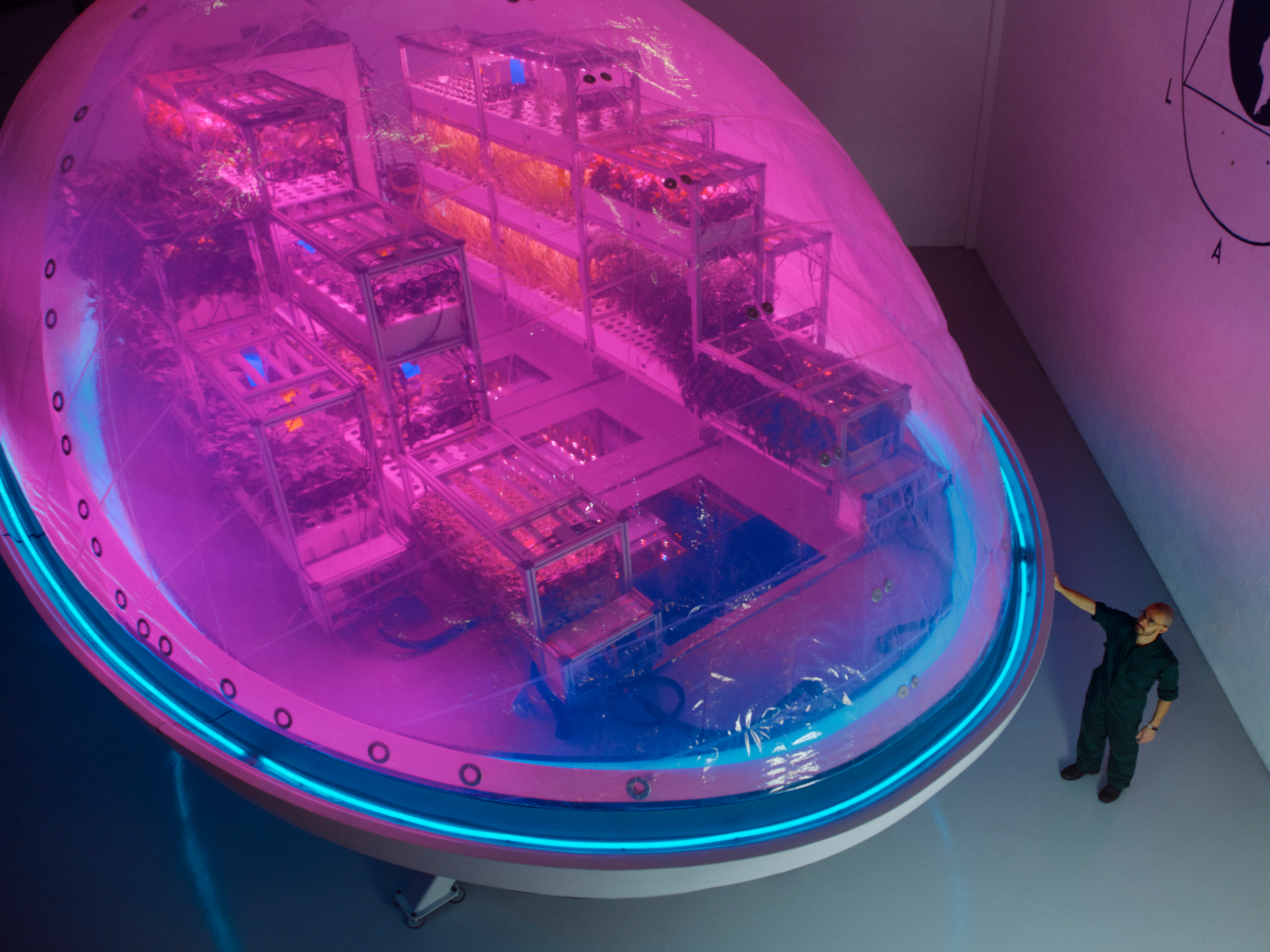 A man stands next to a large hemispherical pod glowing pink from within. Racks of plants can be seen through its transparent surface.
