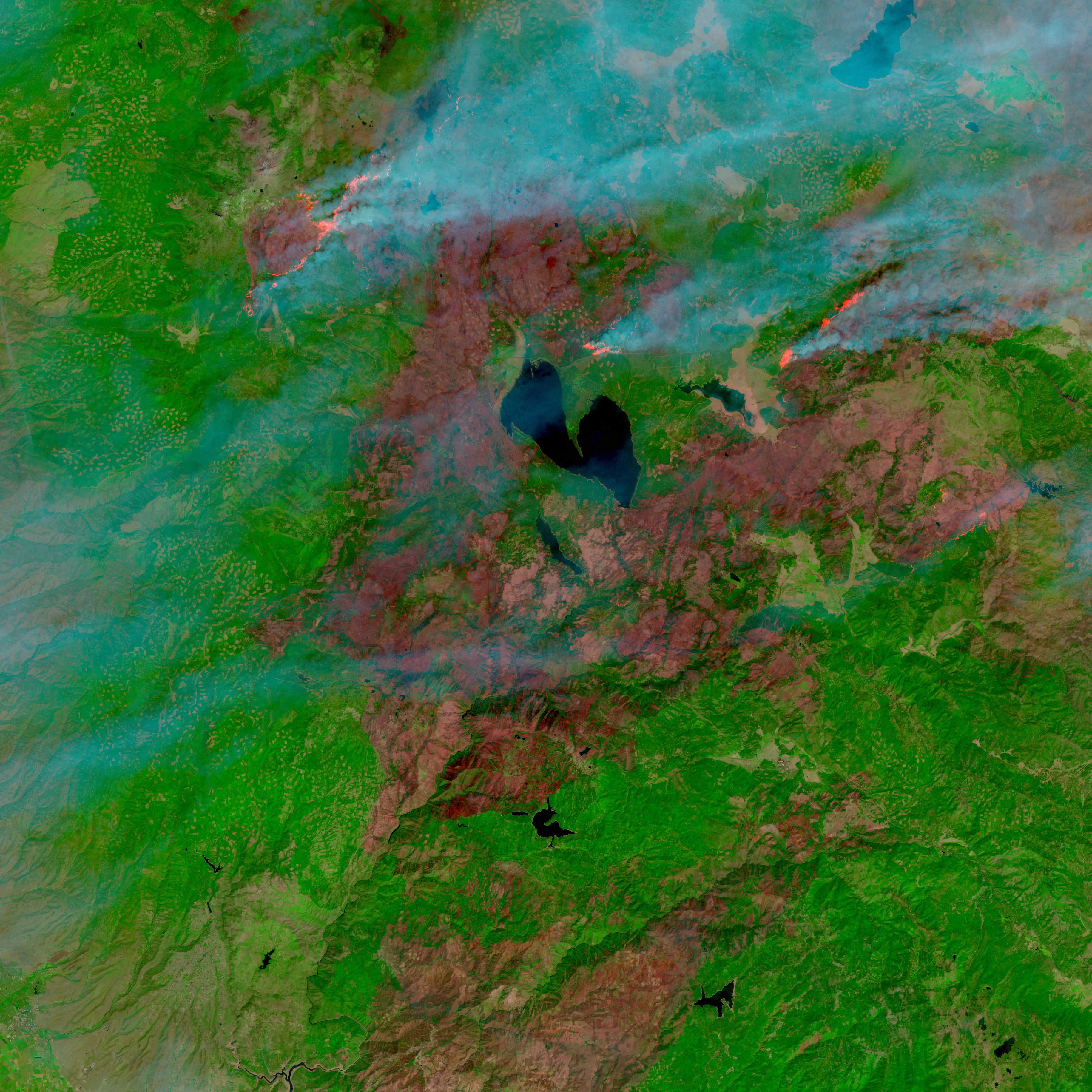Satellite image shows brown areas around a blue lake in an otherwise mostly green environment. 