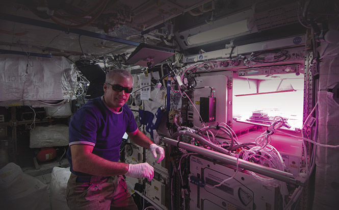 Vegetable-growing experiment aboard the International Space Station