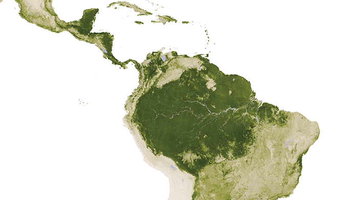 Satellite image of forest cover in Central and South America