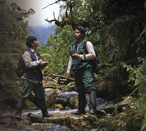 Park rangers patrolling protected forest in Peru