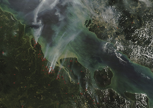 Satellite imagery of wildfire