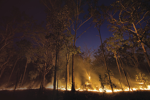 Wildfire burning