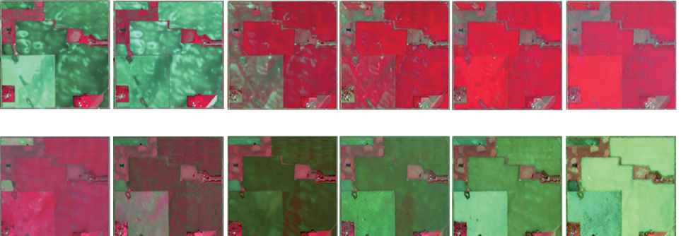 12 stages of crop growth as seen in infrared satellite imagery