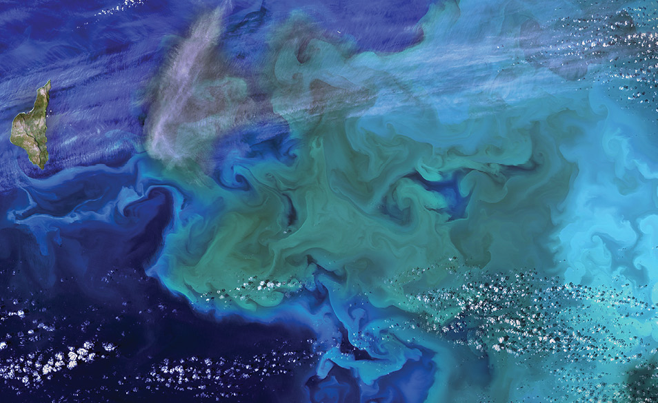 Satellite photo shows phytoplankton blooms near Alaska