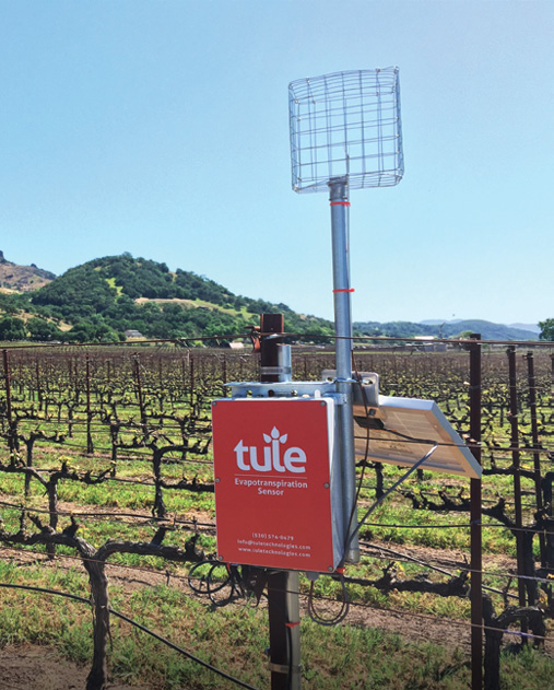 A Tule wind sensor mounted on a pole in a vineyard, surrounded by rows of woody vines