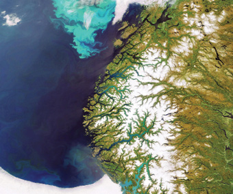 A satellite image of a coastline with a bright turquoise algal bloom in the water