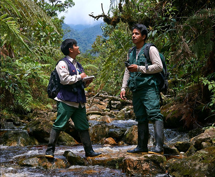 Park rangers patrol the Alto Mayo protected forest in Peru