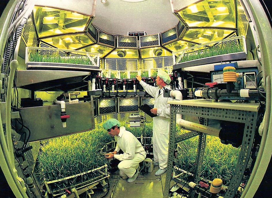 Bill Knott, left, and Tom Dreschel examine the growth of crops in the Biomass Production Chamber at Kennedy