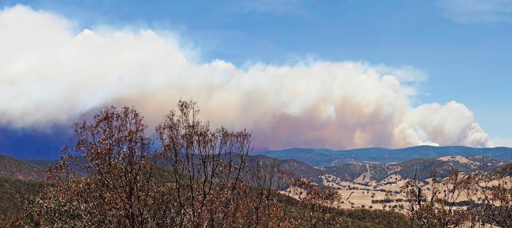 A wildfire in Dargo, Victoria, Australia