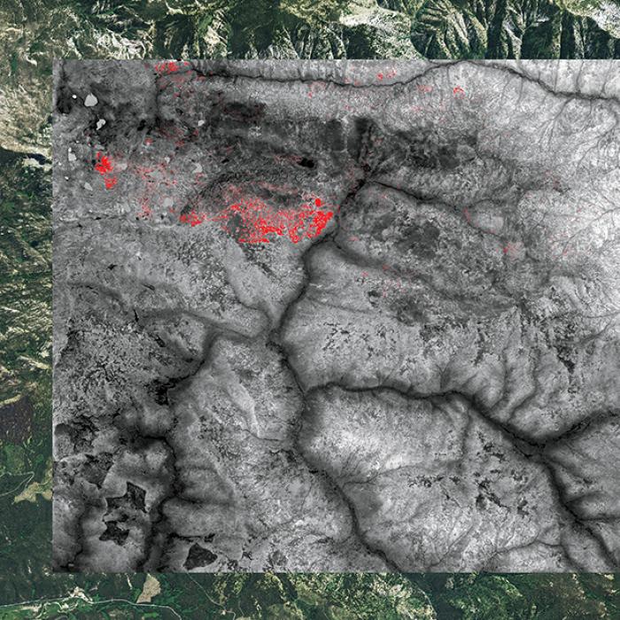 Thermal image of a forest fire