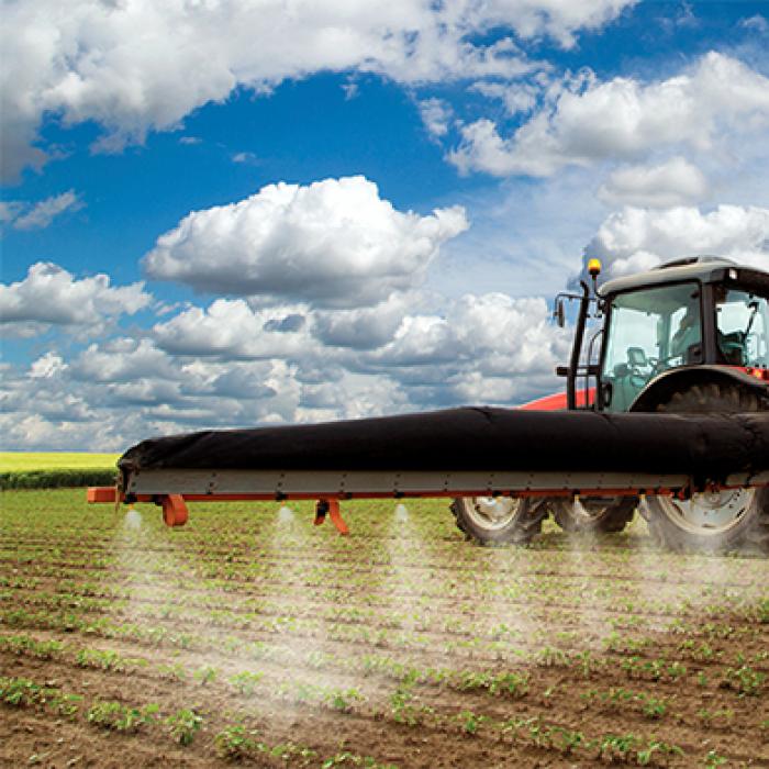 Combine spraying seeds