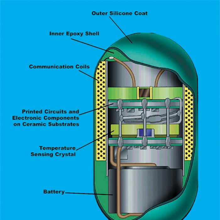 A look at the interior of the ingestible thermometer pill