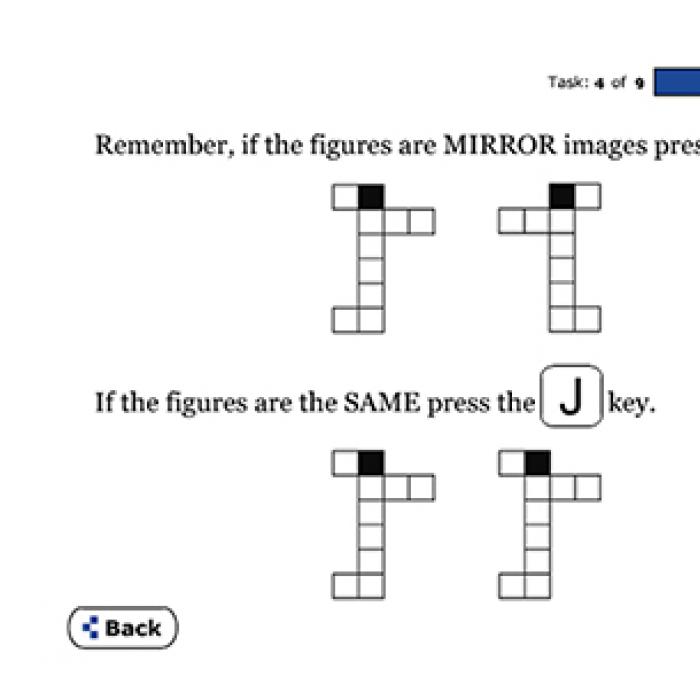 Screenshot of instructions for a mental rotation test