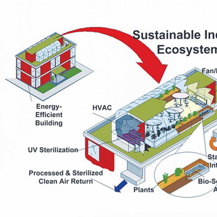Diagram of sustainable indoor ecosystem