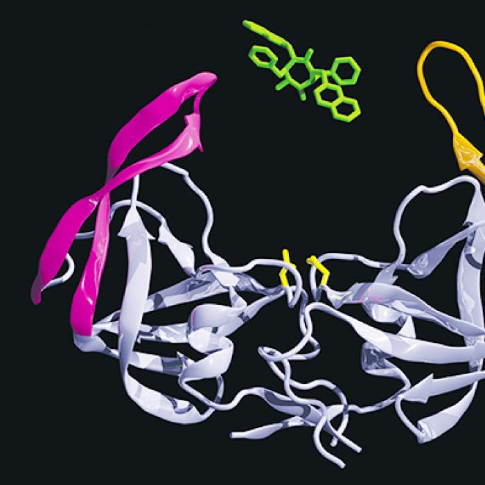 A computer composite of protein molecules related to the H I V virus