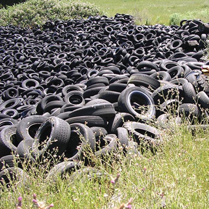 Researcher Becky Quinlan stands in front of a pile of tires