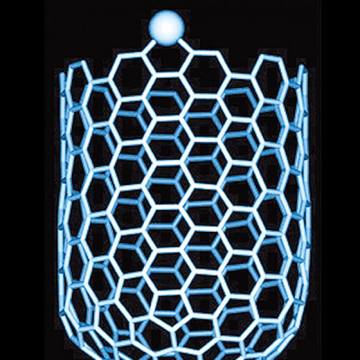 Carbon nanotube net-like structure