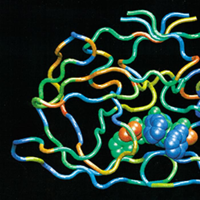 Depiction of realistic modeling of molecular interaction drug/proteins