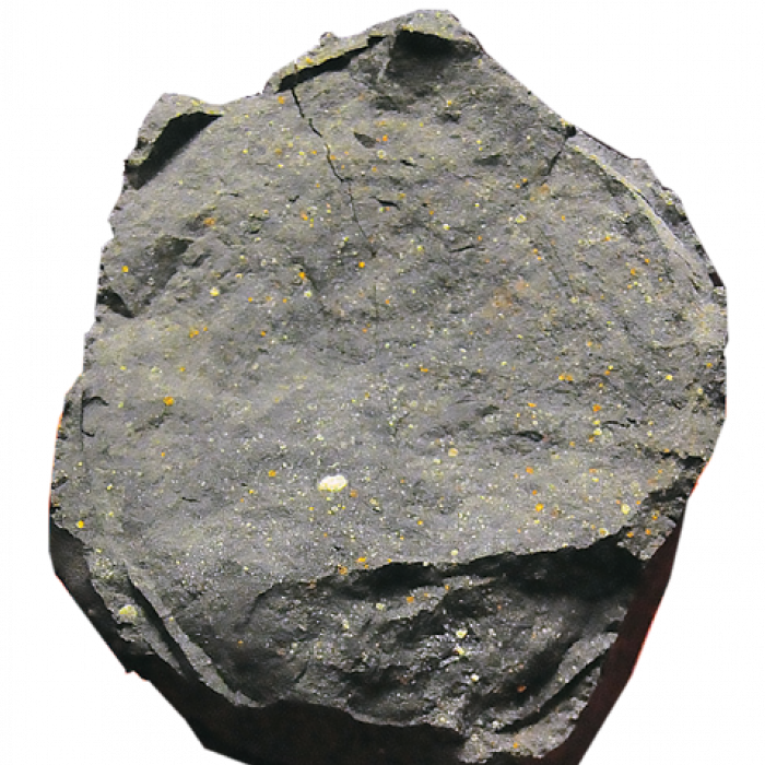 Rock from an asteroid
