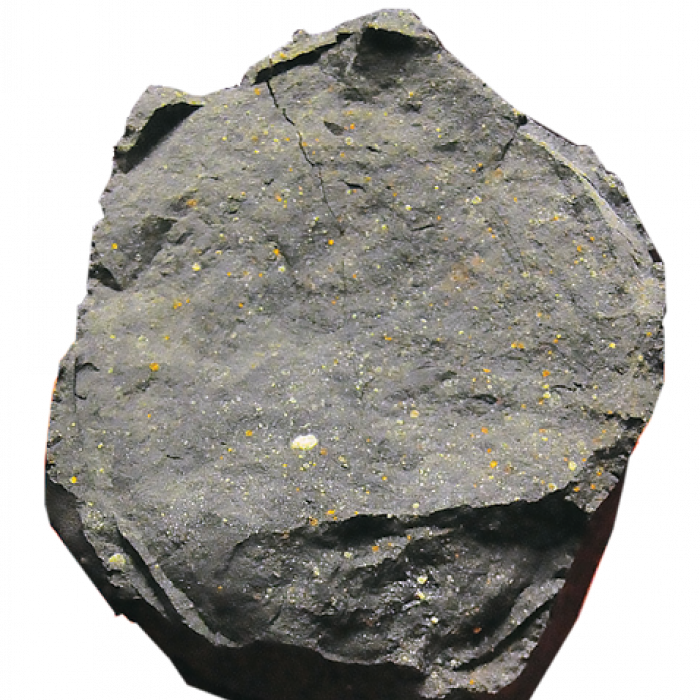 Researchers know a lot about asteroids from studying the ones that have fallen to Earth. The Murchison asteroid, a piece of which is shown here, struck near Lake Murchison in Australia in 1969. This is a CM-type carbonaceous chondrite, predominantly made up of clays and rich in organic compounds. CM-type asteroids present a potential source of water, shielding materials, and other resources and are one of four types Deep Space Industries (DSI) simulates. Rock from an asteroid