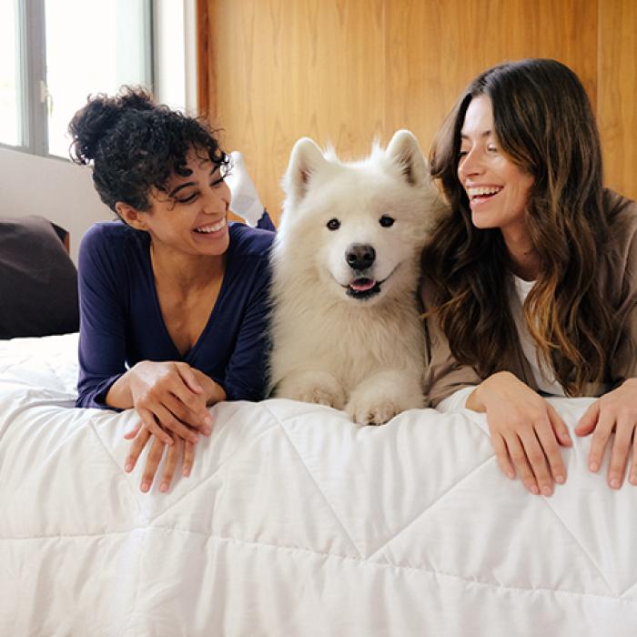 Two Women and a Dog on the UltraCool Comforter