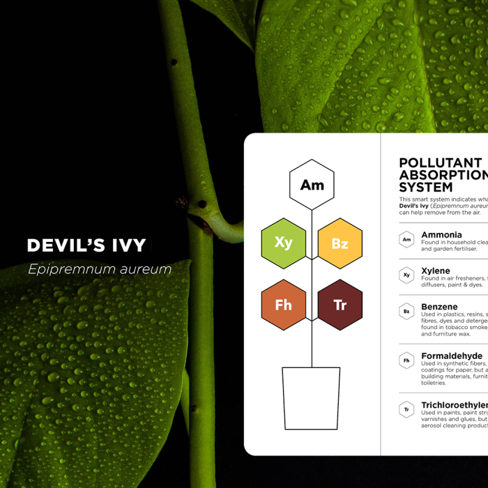 A Devil's Ivy plant with a pollutant absorption system graphic overlay