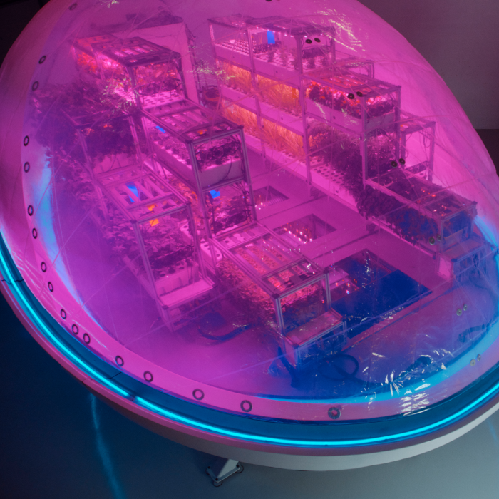 A man stands next to a large hemispherical pod glowing pink from within. Racks of plants can be seen through its transparent surface.