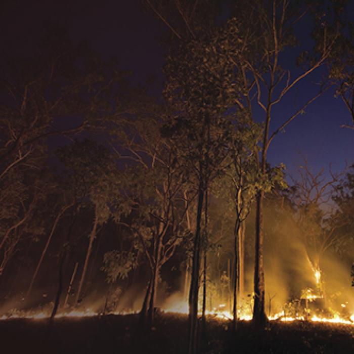 Wildfire burning